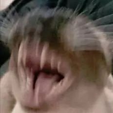 chbteam's profile picture. RPG no WPP inspirado em PJO • Se tiver interesse em entrar, siga de volta para receber as informações na DM • Iniciado no dia 20/07/2018