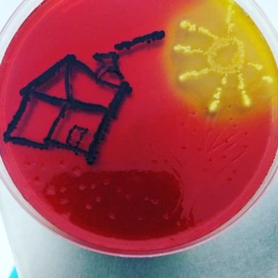 Microbiology_bioinformatics_biotechnology
🇨🇱🇪🇦