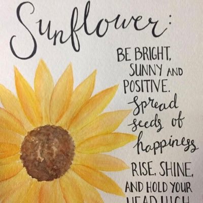 sandywinn13's profile picture. 