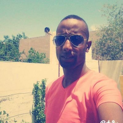 MahdiHamrouni15's profile picture. no pain no gain