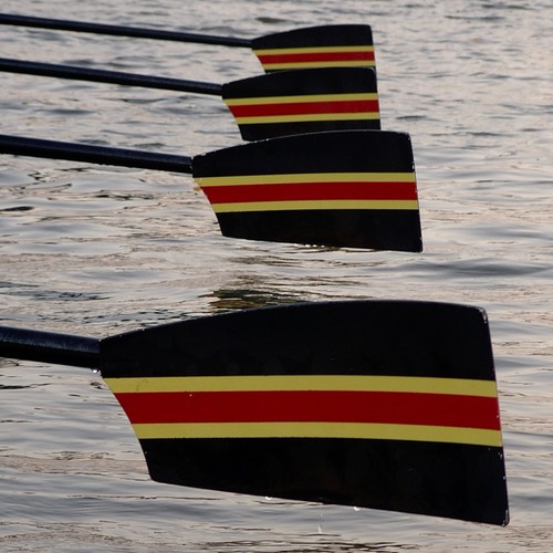 RoseCityRowing's profile picture. 