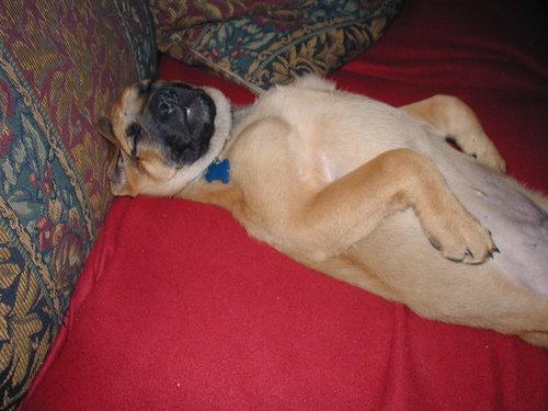 What can I say? I'm a cute, stinker-stink-pot!