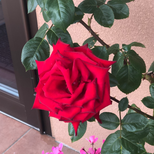 suzukamental's profile picture. 三重県鈴鹿市のメンタルヘルス科・精神科のクリニックです。