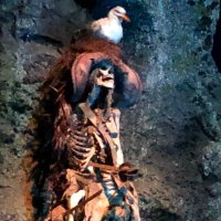 Drew Johnson (@andrewj17786375) 's Twitter Profile