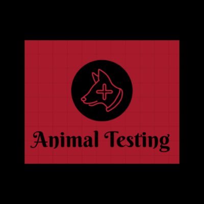 StopAnimalTes14's profile picture. No one talks about Animal Testing, we want to bring more attention to this issue. Also we want to the number of how many animals are dying each year to go down.