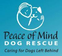 PeaceofMindDogRescue