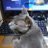 Revo__re's profile image