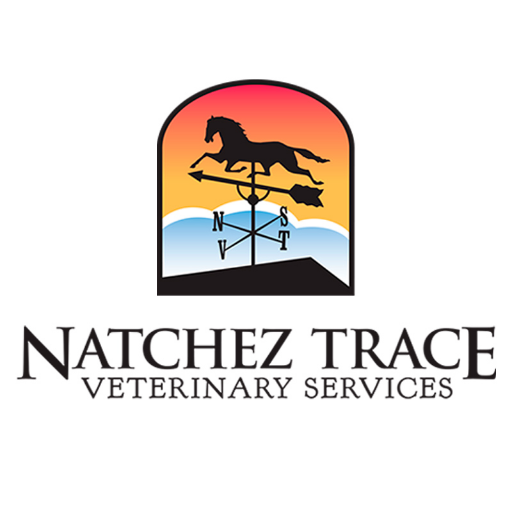 We combine Traditional Chinese Veterinary Medicine with Western & Alternative medicine. These methods are most powerful when combined!