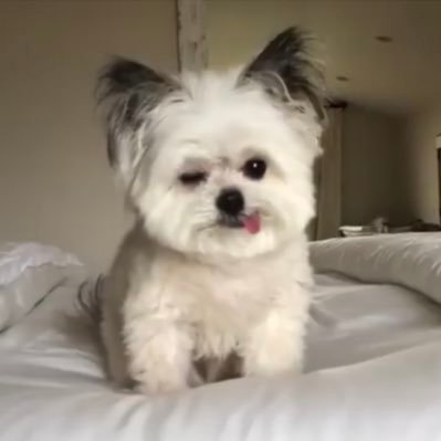 hosking80654039's profile picture. 台球