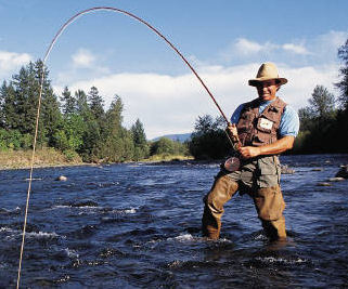 firstfisherman's profile picture. Originally from New Zealand. Angler  who's fished all his life.