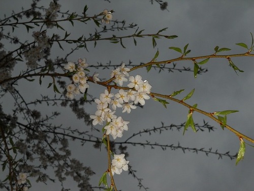 WillowRockGifts's profile picture. 