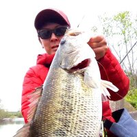 けいた (@keita__bass) 's Twitter Profile Photo けいた (@keita__bass) 's Twitter Profile Photo