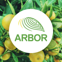 Secondary | The Arbor School (@arborseniors) 's Twitter Profile Photo Secondary | The Arbor School (@arborseniors) 's Twitter Profile Photo