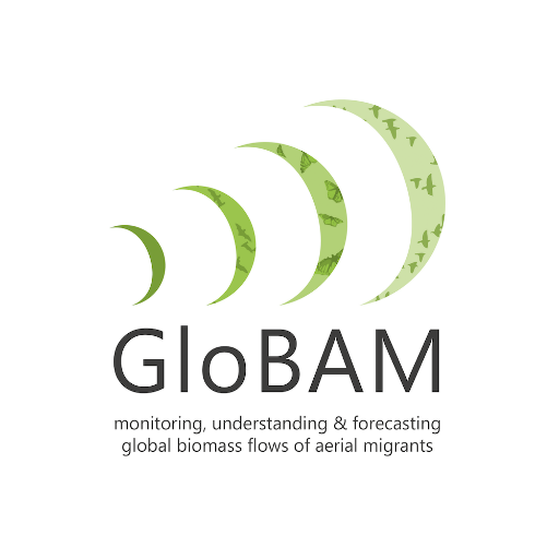 GloBAM is a research project aiming to monitor, understand & forecast Global Biomass flows of Aerial Migrants. For general radar aeroecology, see @enram_network