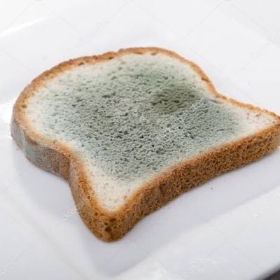 カビたパン We7bhhwj2llvmyf Twitter カビたパン We7bhhwj2llvmyf Twitter