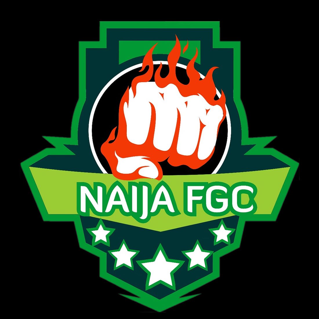 NaijaFGC's profile picture. 