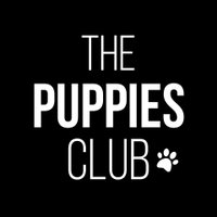 Puppies Club (@thepuppiesclub) 's Twitter Profile Photo Puppies Club (@thepuppiesclub) 's Twitter Profile Photo