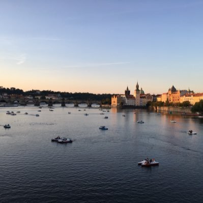 lluisbu's profile picture. 