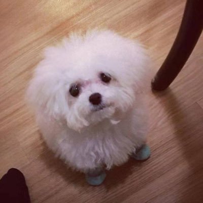 OoycdH0Dctf6lfe's profile picture. happy girl