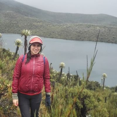 anaid911's profile picture. 