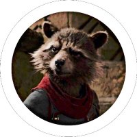 Rocket Raccoon (@batterythief) 's Twitter Profile