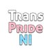 Trans Pride NI (@transprideni) Twitter profile photo