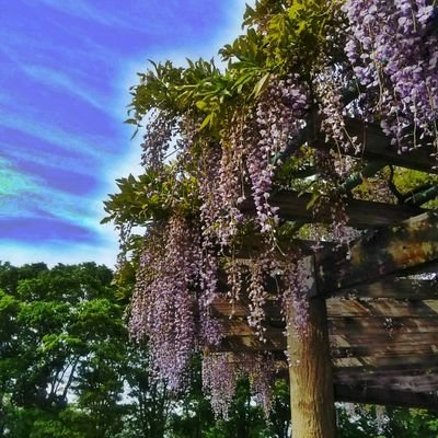 田中一さんのプロフィール画像