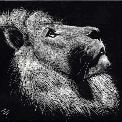 Thabisompopo1's profile picture. From the cradle to the grave what matters is in between