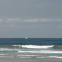 Carrie Wise Olson - @COUGWISE - Twitter