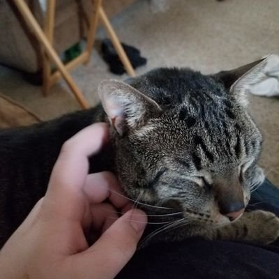 jason_j_regan's profile picture. 