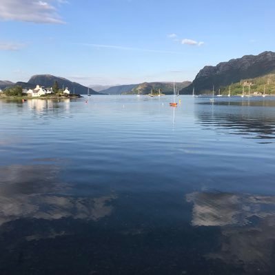 LocalWeatherGl1's profile picture. Post your local weather. Wherever you are! Let people see the Sun, Rain and Clouds!