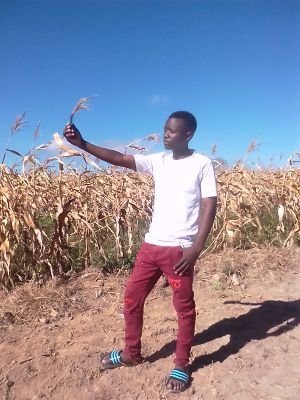 Alexand43238369's profile picture. gamer