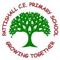 Pattishall CE Primary School (@teampattishall) Twitter profile photo