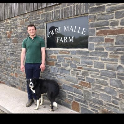 Dairy farmer from South-West Wales. Interested in Genetics 🧬, Nutrition 🌽 and Data 💻. Dairy Comp and AMTS user!