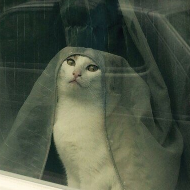 prizma__egoizma's profile picture. я не зла, я просто зайобана