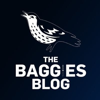 A blog about the Brummie Road and the Albion Aces. The place to get a fans view on West Bromwich Albion.