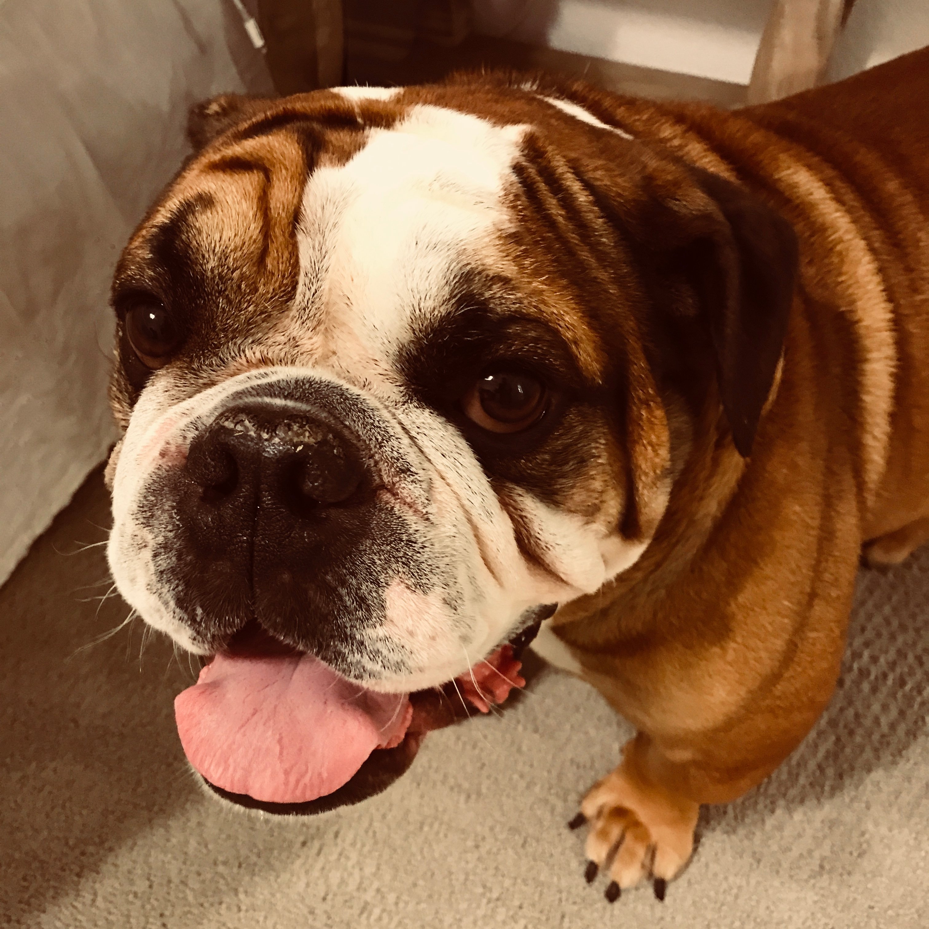 DustinH64206856's profile picture. Twitter account