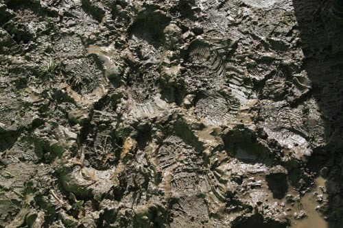 gemodder's profile picture. Het leven is aanmodderen. Columns en bespiegelingen van drie dinky's in Suburbia. Elke dag een column over ons gemodder in de marge. http://t.co/ADZjUtLNua