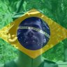 dietalindo's profile picture. Portador de Esclerose Múltipla e lutando por justiça