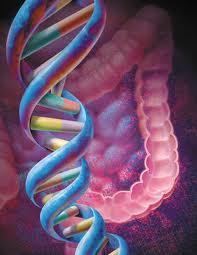 One type of cancer that you must be mindful of is colorectal cancer. It is a digestive problem which would lead to a lot of complications.