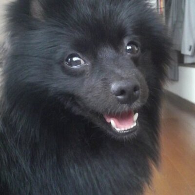 Yassy 香川がいるボルシア ドルトムントのユニフォームってなかなかかっこいいよね スポンサー はエボニックというドイツに拠点を置く企業で 化学 エネルギー 不動産を生業としてるようだ 日本にもエボニックジャパンがある Yassy 香川がいるボルシア ドルトムントのユニフォームってなかなかかっこいいよね スポンサー はエボニックというドイツに拠点を置く企業で 化学 エネルギー 不動産を生業としてるようだ 日本にもエボニックジャパンがある