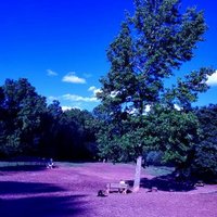 NotSkatter (@nskatter) 's Twitter Profile