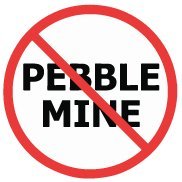 Pebble Mine’s permitting process is rushed, politically driven, and endangers Alaska’s most critical and productive salmon fishery.