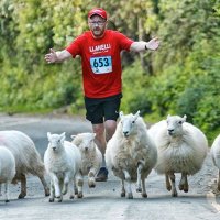 Andrew Stephens (@4ndrewstephens) 's Twitter Profile