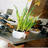 Designbuilding's profile image