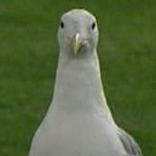 metan (@metann56) 's Twitter Profile Photo metan (@metann56) 's Twitter Profile Photo