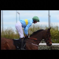 Tadhg Mcguinness (@tadhgmcguinness) 's Twitter Profile