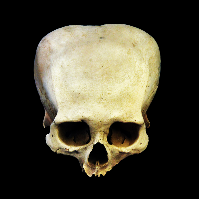 AncientEnigmas's profile picture. Exploring enigmas from the ancient world.