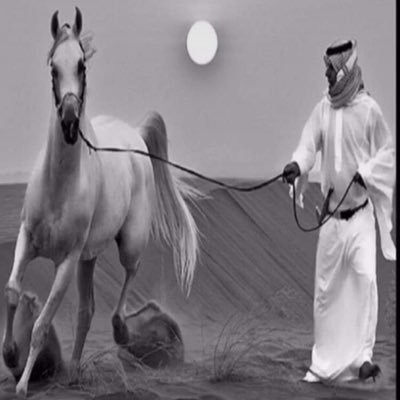 MAl3lean's profile picture. عامل الناس؛ مثل ماتحب ربك يعاملك..