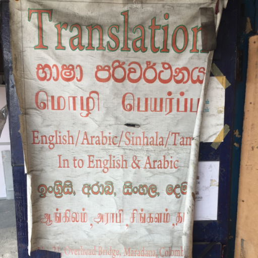 Brown. Language. தமிழ். සිංහල. Saivam. Sri Lankan. Migration. (Things I am/things I'm interested in)